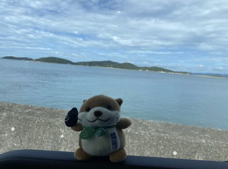 ③
